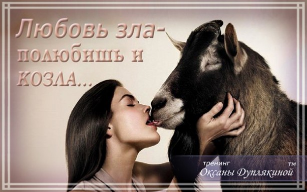 Любовь зла – полюбишь и козла